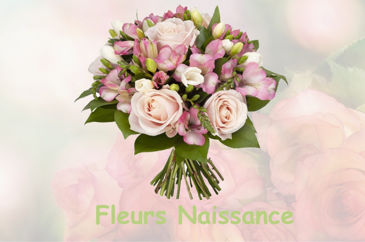 fleurs naissance SAINT-NICOLAS-DE-MACHERIN