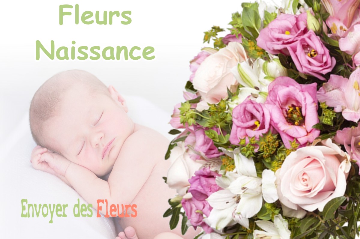 lIVRAISON FLEURS NAISSANCE à SAINT-NICOLAS-DE-MACHERIN